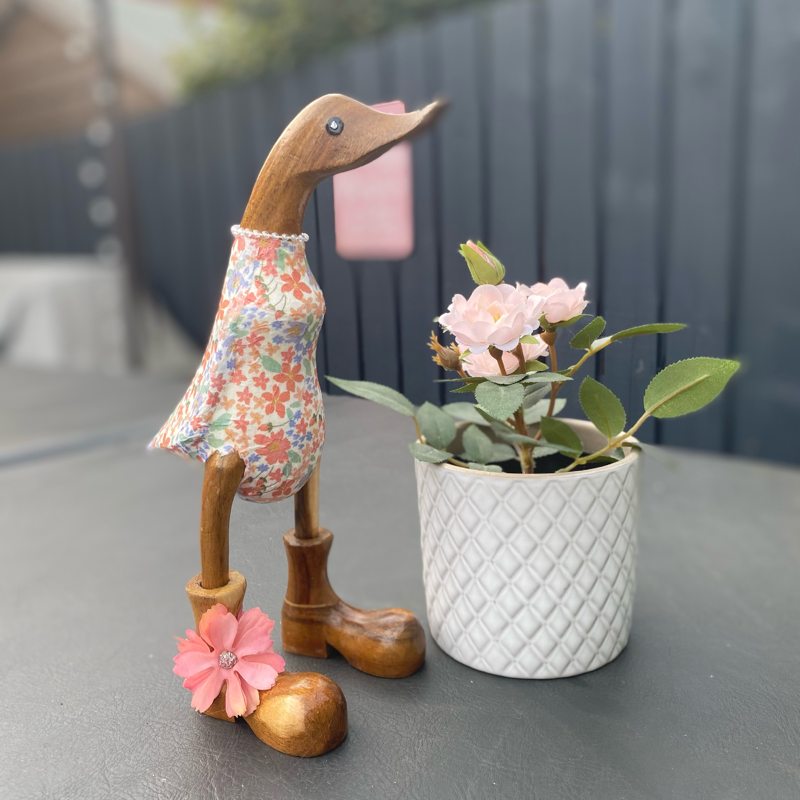 Wooden ducks with sale boots
